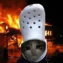 jaikel0958_23608 avatar