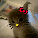 flowersishere's Avatar