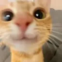 tyler2283788