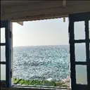 yara_505s