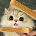 lrururu