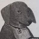 farostoli