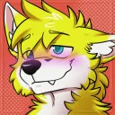 shinythefoxx