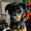 knox5678 avatar