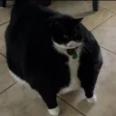 g0000d__