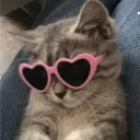 its_dylllll