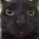 parggel