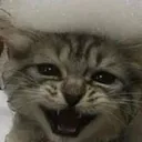 fuhclpz