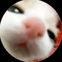 tostadathenoob_78011 avatar