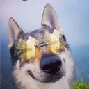 papergauntlet