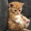 happyhappyhappy1_1's Avatar