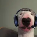 makobako321