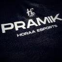 pramik_421