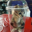 emiimakesmusic's Avatar