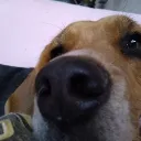 ttddwill._41670 avatar