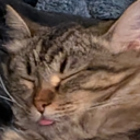 avatar ThePotatoKing16