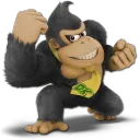 donkeykong98123