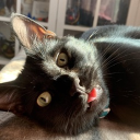 binx567