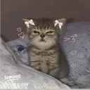 poppedbykidv2