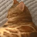 Аватар enemita