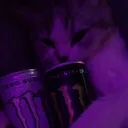 brn.vex
