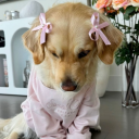 avatar ʾʿ  ˒˓ · αηα ?! ✿