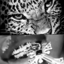 t161019's Avatar