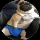 danielguerrero0750 avatar