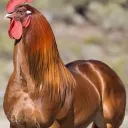 ЛАДНО Я ПОГАРЯЧИЛАСЬ НО ВЫ МЕНЯ