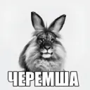 Аватар goodboy351212