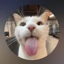 dybyte
