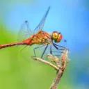 ekong_handsome avatar