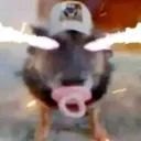 gatopendejoxd_1381 avatar