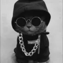 ceo.ua