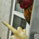 steve_2026aaaaa_oi. avatar