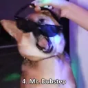 mr_dubstep. avatar