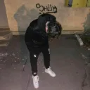 .roycii