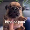 nov4chrono_gg avatar