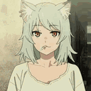wificat
