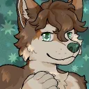 brewhusky