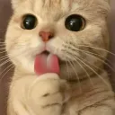 fuzzyduzzy1