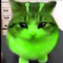 chikenpollo0173 avatar