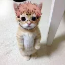 sukanakoleni. avatar