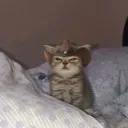 Аватар slabonke2