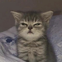 avatar 𝐁𝐚𝐤𝐥𝐚𝐯𝐚