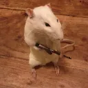 rat2112