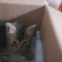 acevedo.benjamin. avatar