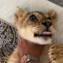 avatar !                 𝐁𝐨𝐫𝐞𝐤𝐚𝐬