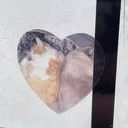 mayacats