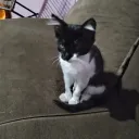 marllin_growagarden_36117 avatar